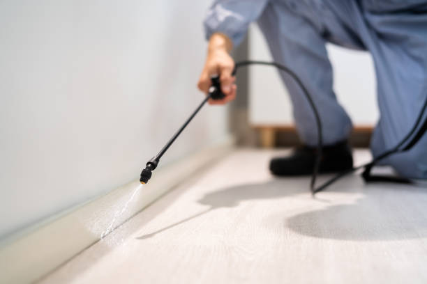 Licensed Pest Control service in Saugatuck, CT - Show Me Pest Control
