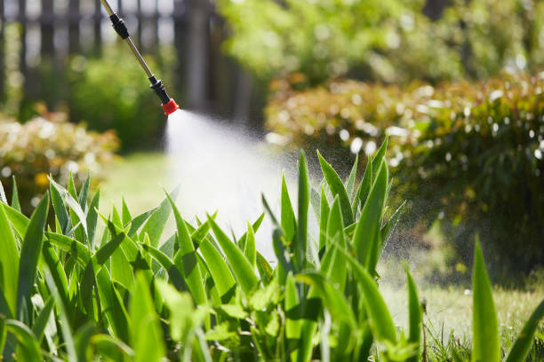 Tamper-Resistant Bait Stations for Rodents in Saugatuck