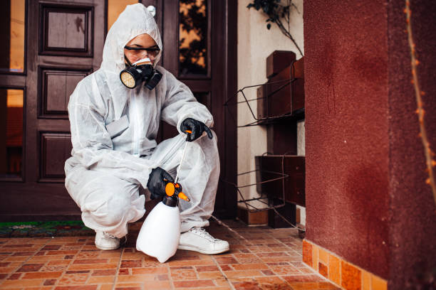 Attic and Crawl Space Rodent Treatment in Saugatuck