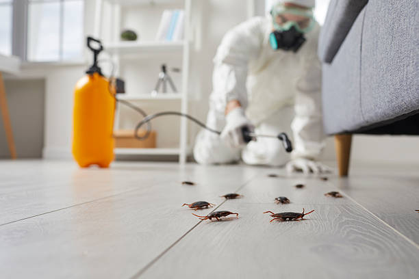 Commercial Rodent Management in Saugatuck